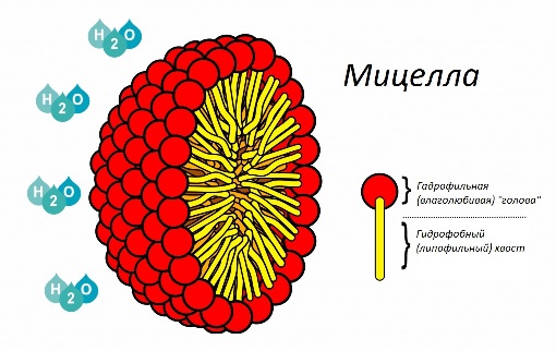 Мицеллы - что это?